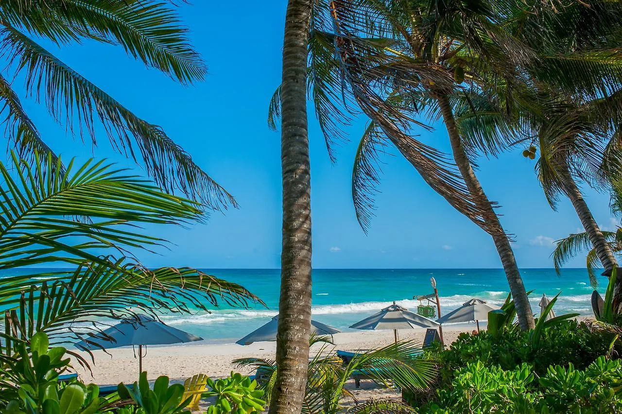 Cabanas La Luna Hotel Tulum